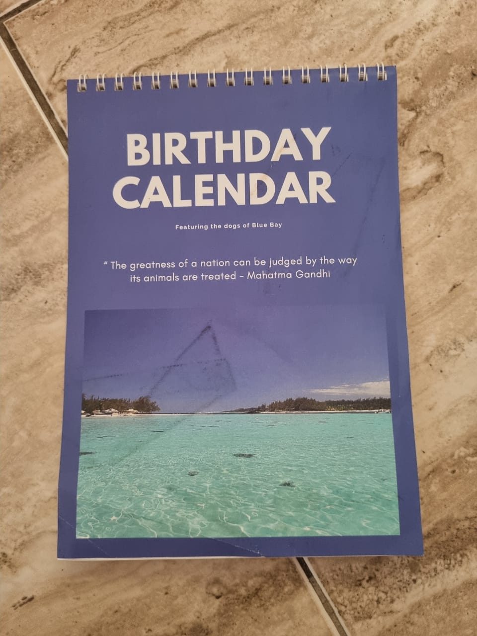 Birthday calendar for strays