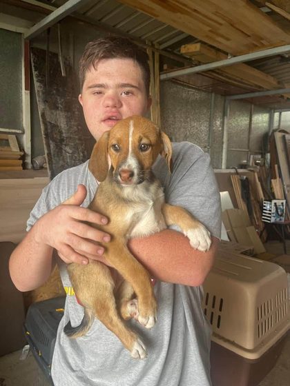 Man holding a tan and white puppy in a shed with a plastic carrier nearby