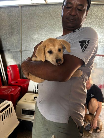 Man holding a tan puppy, with pet carriers and another person holding a dog nearby