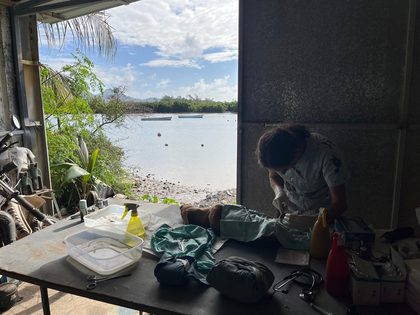 Person performing surgery on a dog on an outdoor table beside supplies, with a bay visible behind