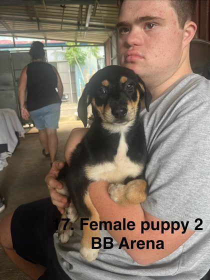 Young man holds a black and tan puppy against his chest under a covered outdoor area