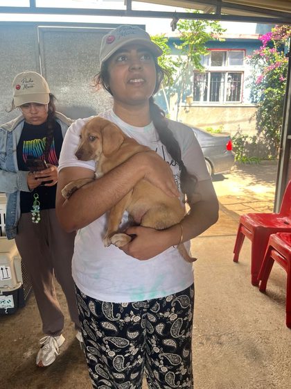 Puppy held in a woman's arms outdoors, another person and pet carriers visible behind her