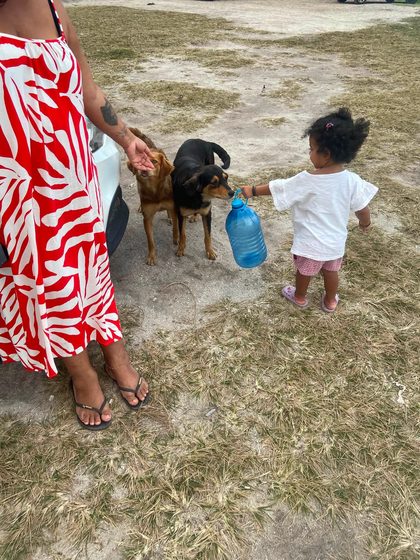 Dog on a dirt lot beside a woman in a red dress and a toddler holding a blue water jug