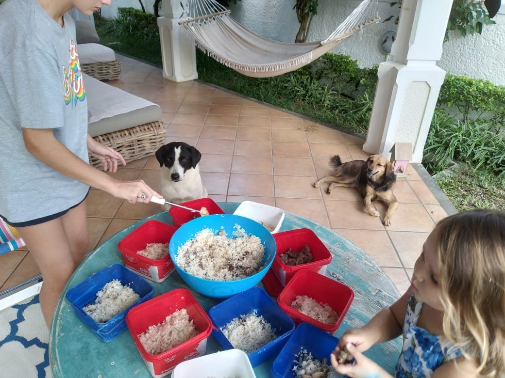 A girl spoons rice and meat into rows of red and blue tubs on a terrace table while a black and white dog and a brown dog wait nearby