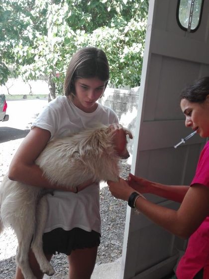 A teenager holds Sandy, a fluffy white dog, while the vet, a syringe between her teeth, holds the dog's front leg