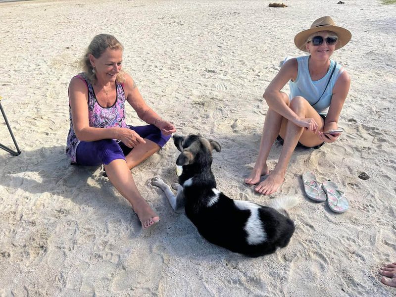 Rex sitting on Blue Bay beach between two of our volunteers, another dog lying in background