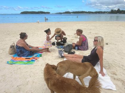 Two dogs eating kibble under a picnic table near a beach and lagoon